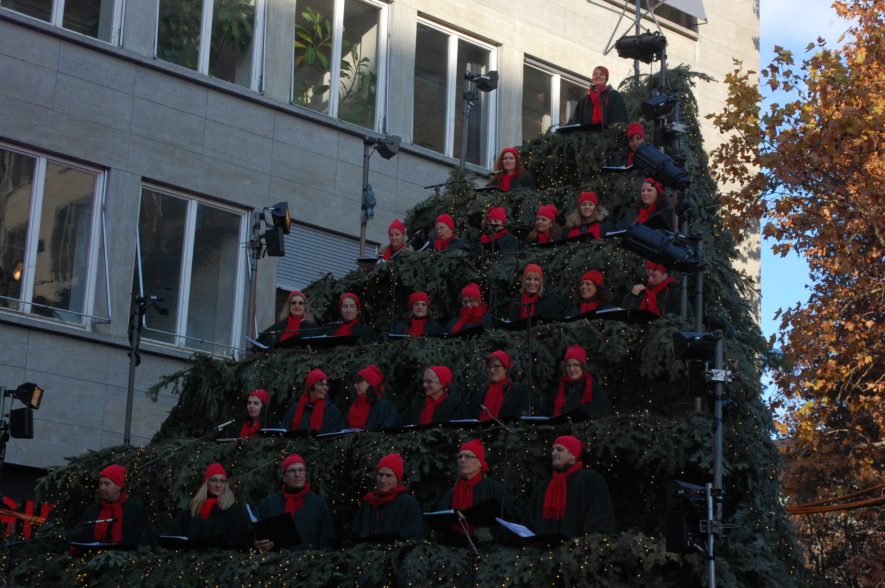 singing christmas tree crăciun