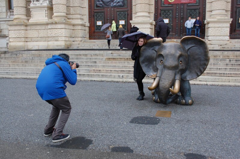 viena muzeu elefant