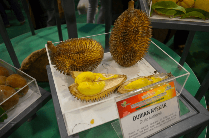 durian