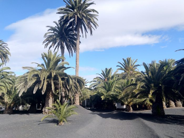 haria lanzarote