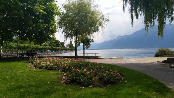 vevey