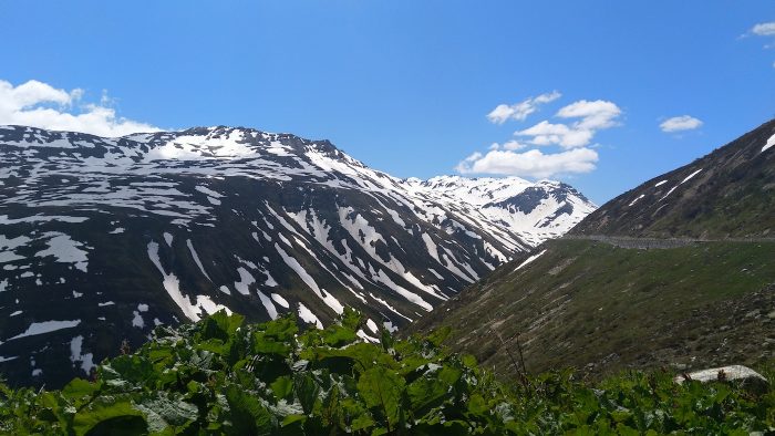 elveția alpi