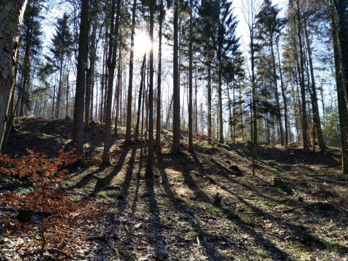 uetliberg