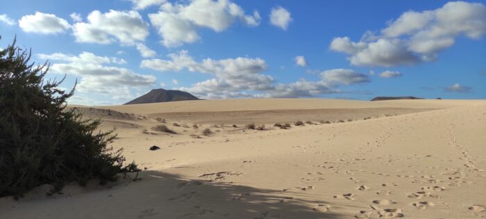 fuerteventura