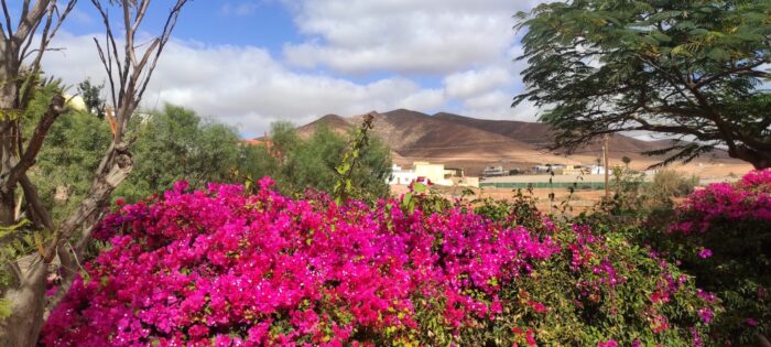 fuerteventura