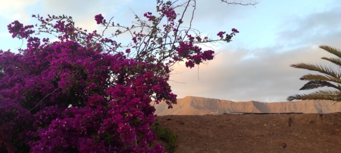 fuerteventura