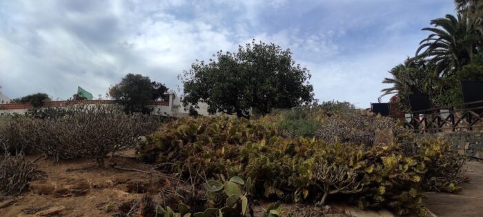 fuerteventura