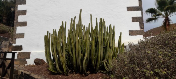 fuerteventura