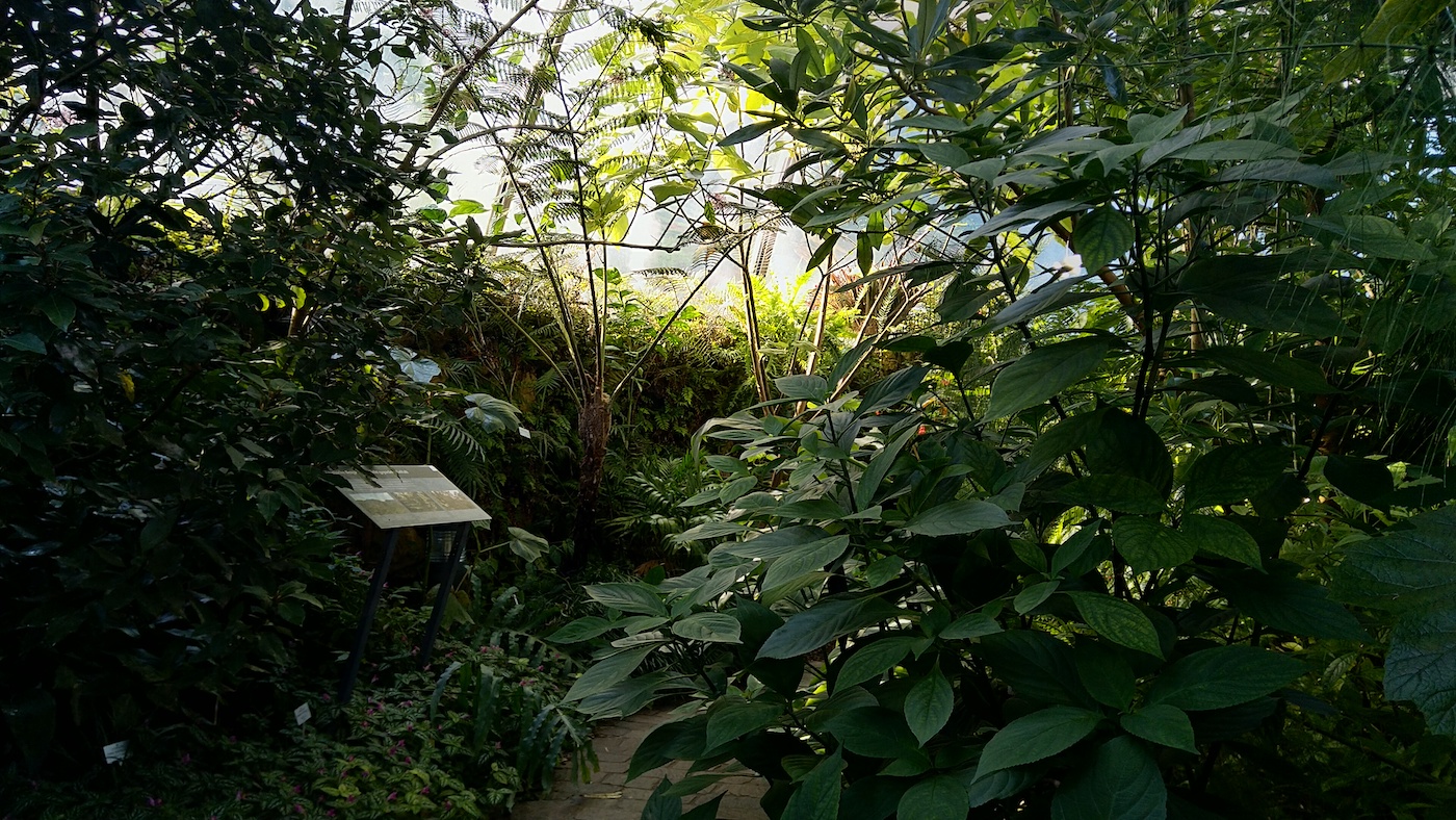 grădină botanică 