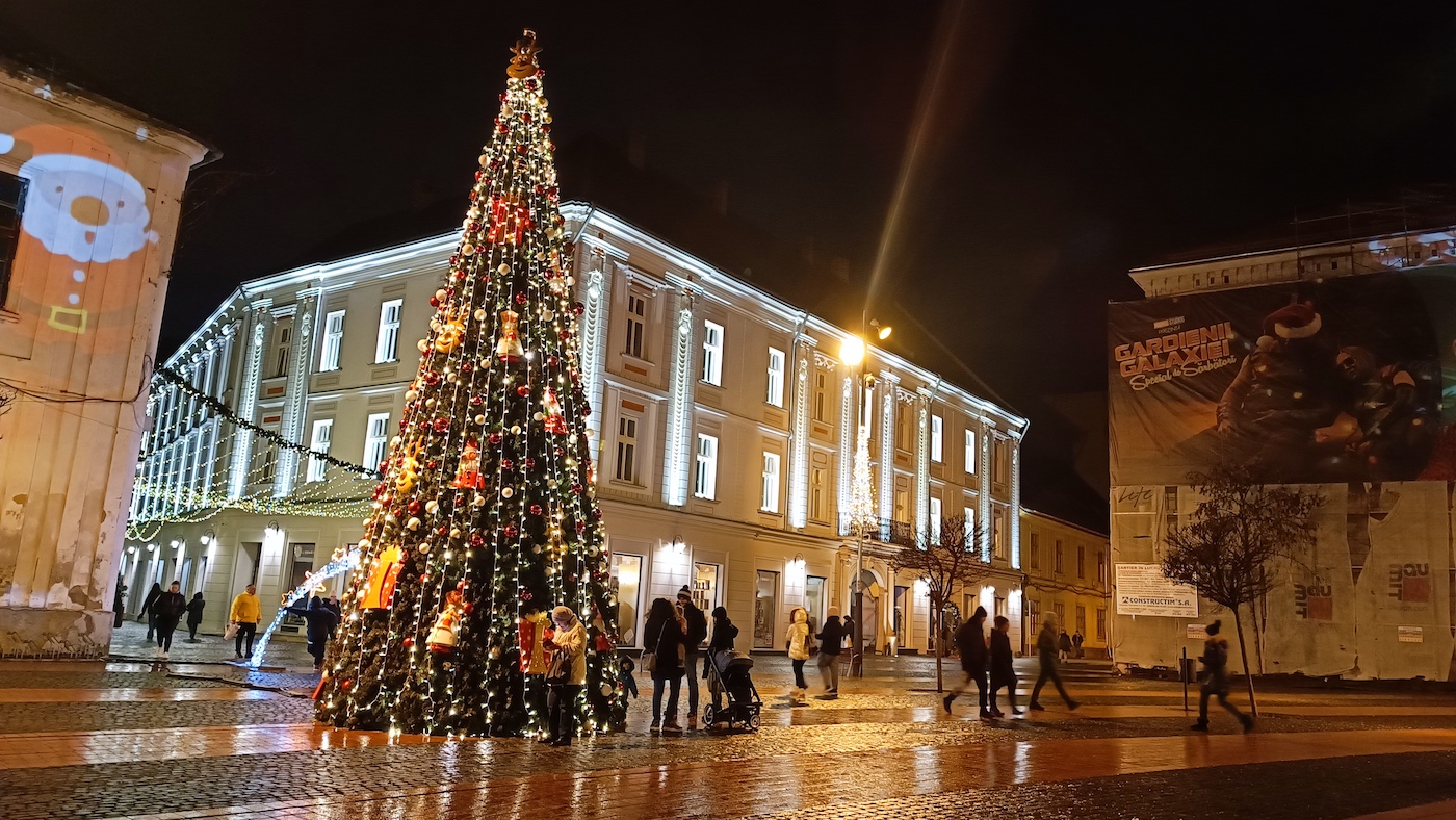 timisoara targ craciun